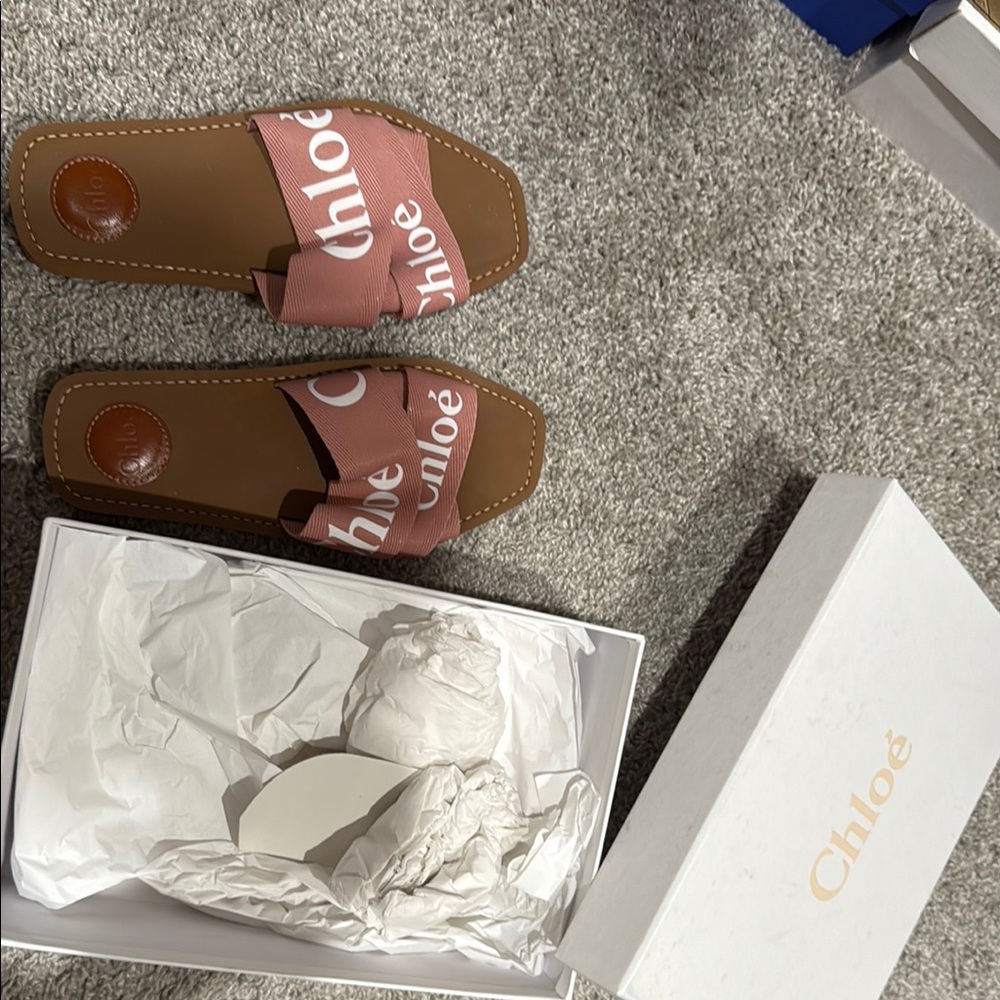 Chloe Pink and Brown Sandals with Elegant Design